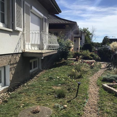 Apartament Chez Flo Mittelhausbergen Zewnętrze zdjęcie