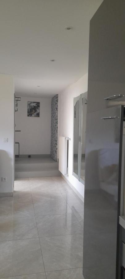 Apartament Chez Flo Mittelhausbergen Zewnętrze zdjęcie